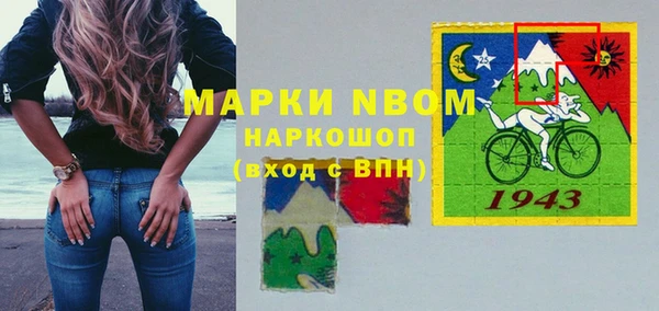 стаф Верея