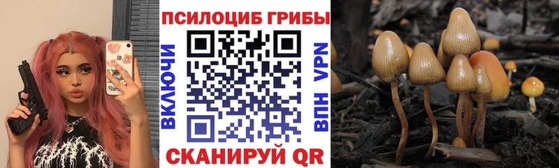 Галлюциногенные грибы Psilocybine cubensis  Юрга 